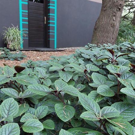Posta Chimango, Cabanas Frente Al Golf Los Acantilados 马德普拉塔 外观 照片