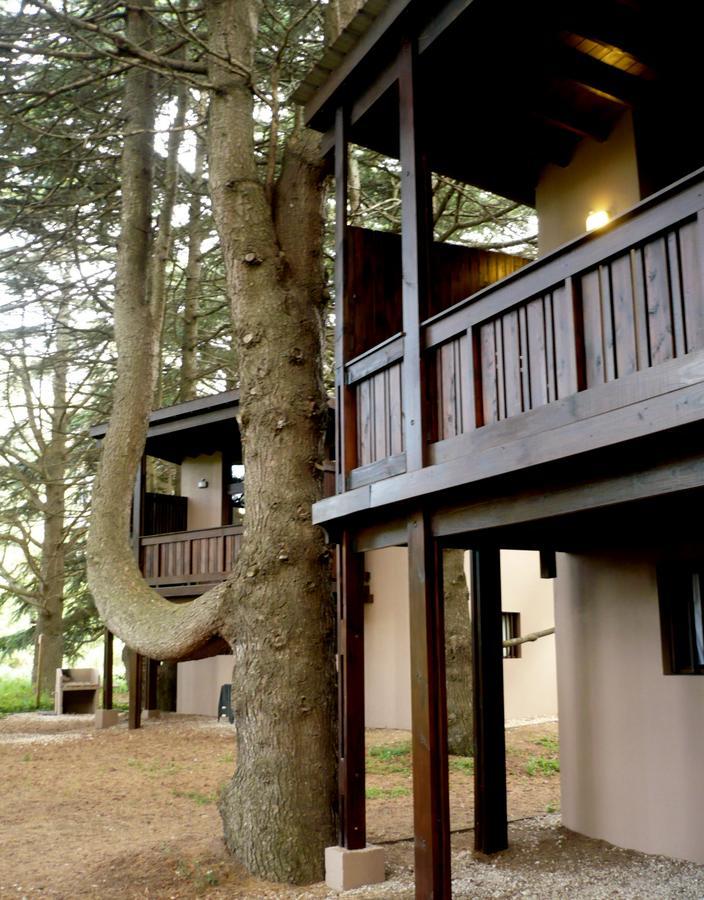 Posta Chimango, Cabanas Frente Al Golf Los Acantilados 马德普拉塔 外观 照片