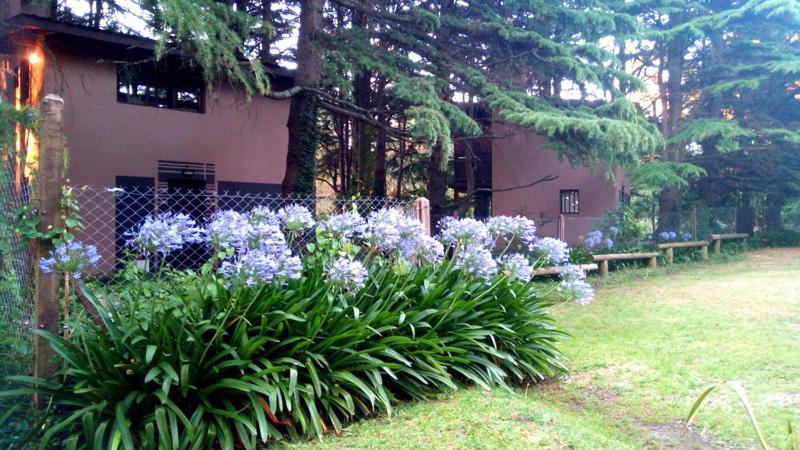 Posta Chimango, Cabanas Frente Al Golf Los Acantilados 马德普拉塔 外观 照片