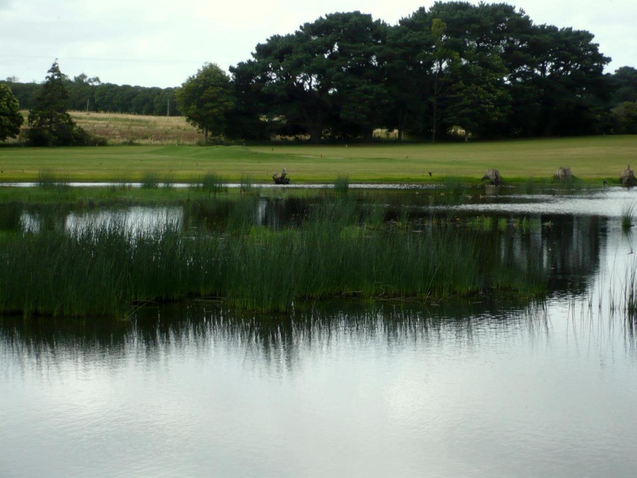 Posta Chimango, Cabanas Frente Al Golf Los Acantilados 马德普拉塔 外观 照片